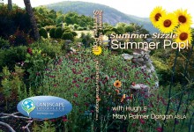 Summer Sizzle Summer Pop